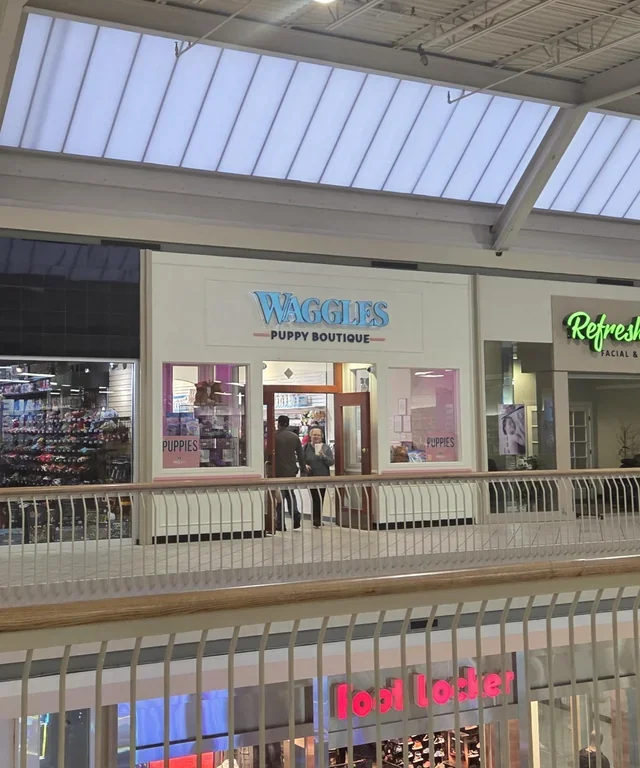 Waggles Puppy Boutique storefront on the upper level of Valley View Mall in Roanoke, VA