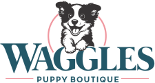 Waggles Puppies Franchising